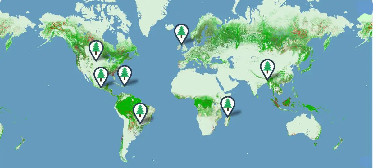 Forestry Map, PrintReleaf, Integrated Document Technologies