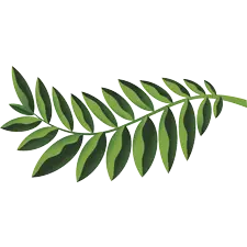 Native Woodlands, PrintReleaf, Integrated Document Technologies